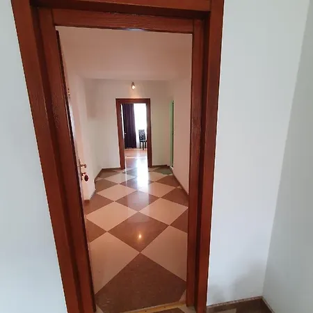 Steluta
