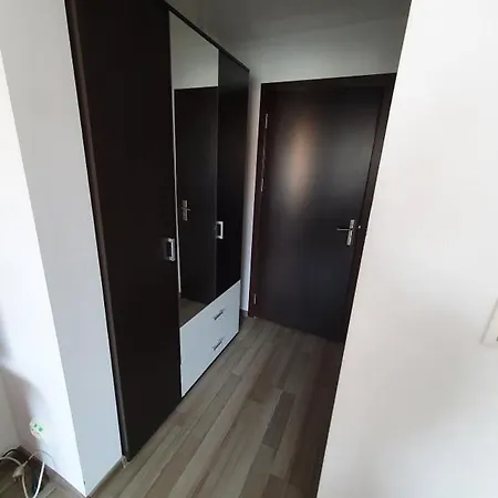 Pensjonat Steluta