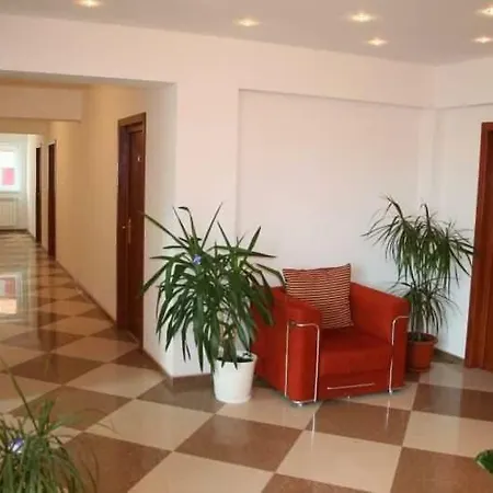 Steluta Эфорие Норд