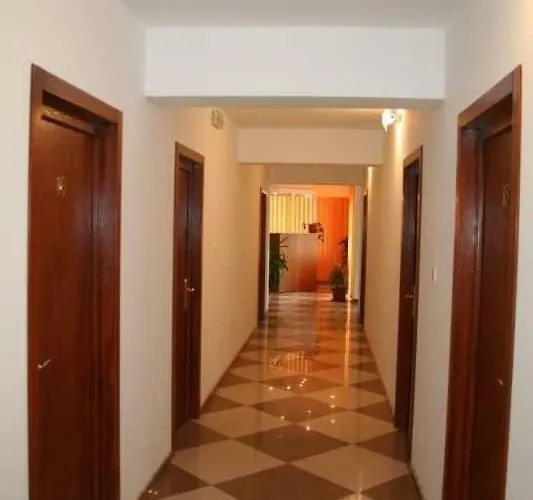 Πανσιόν Steluta